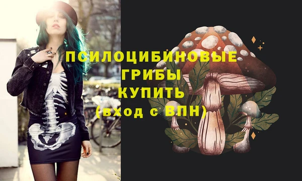 гашиш Богородицк