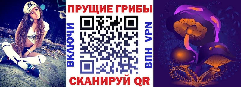 omg как зайти  Демидов  Псилоцибиновые грибы Cubensis 